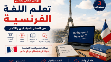 بدون الهبل دا وبدون CSS خارجي المقال بس من اول العنوان لحد الفقرات